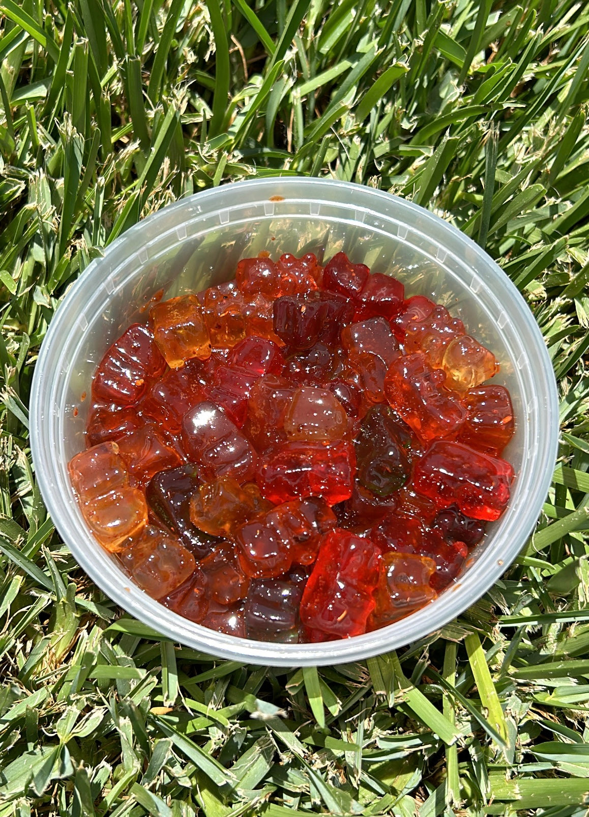 Gummy Bears - Chamoy Mexican Candy