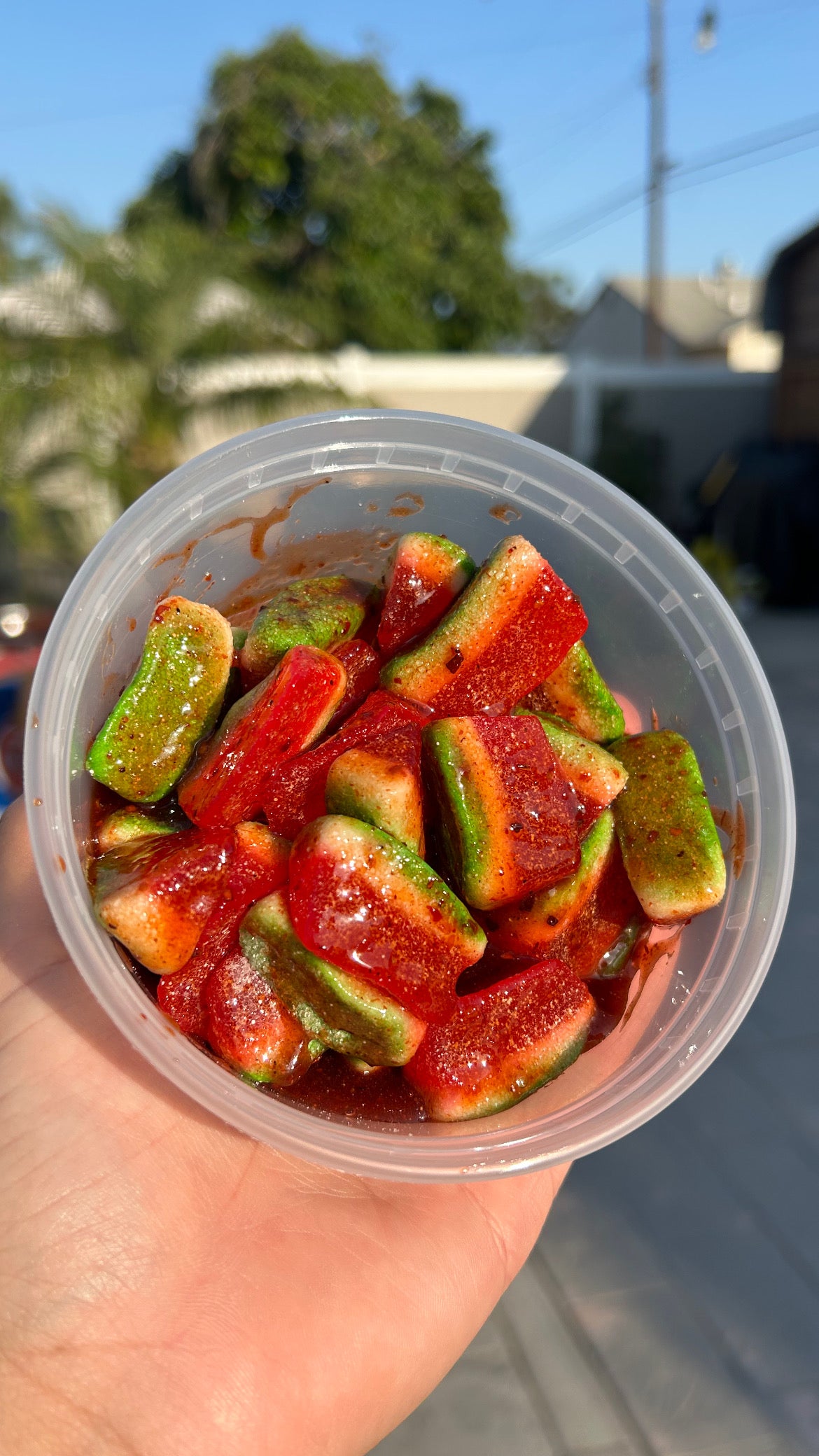 Watermelon Gummy
